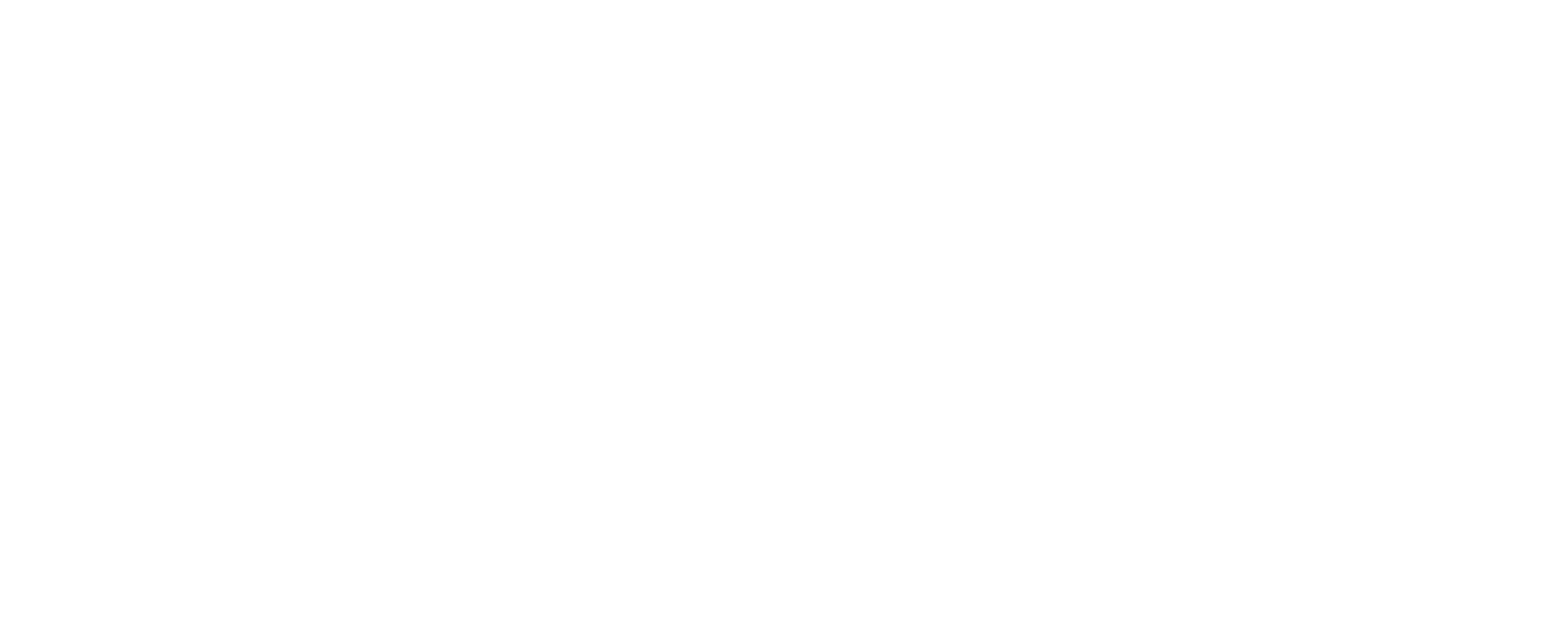 logo homepage