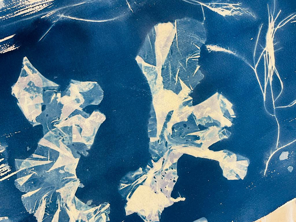 Atelier cyanotype et sérigraphie sur textile